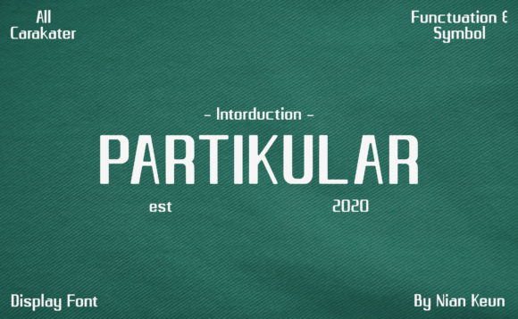 Partikular: A Minimal Font for Maximum Impact