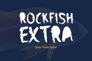 Rockfish Extra: A Display Font with Character