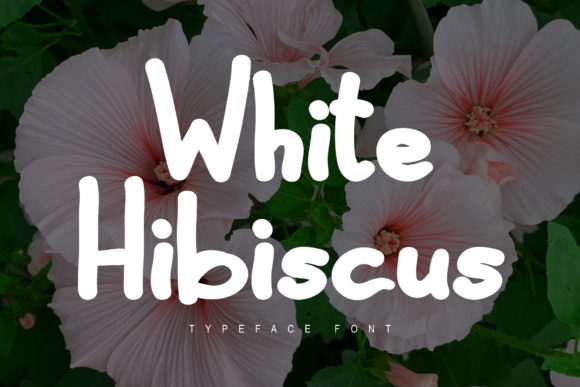 White Hibiscus: A Versatile Display Font for Modern Designs